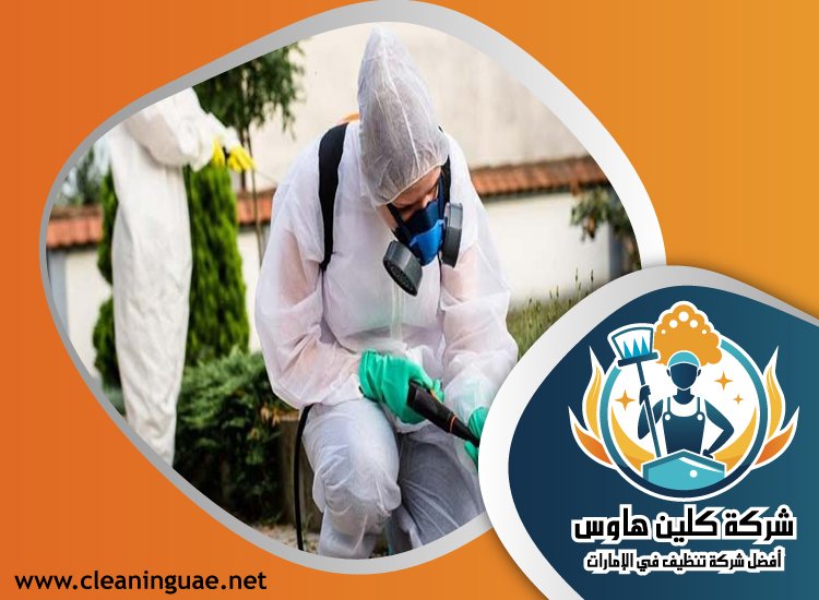 شركة مكافحة حشرات في راس الخيمة 42 شركة تنظيف كنب في راس الخيمة