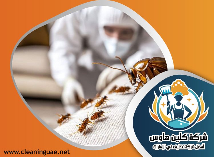 شركة مكافحة حشرات في البرشاء
