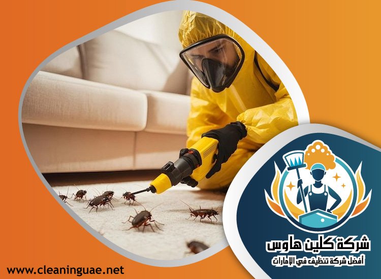 شركة مكافحة حشرات في الشارقة 4 شركة مكافحة حشرات في عجمان