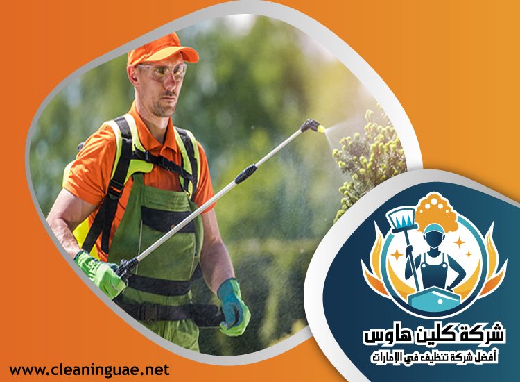 شركة مكافحة حشرات في مريشيد