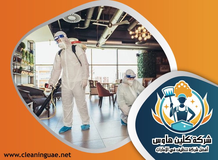 شركة مكافحة حشرات في صفد