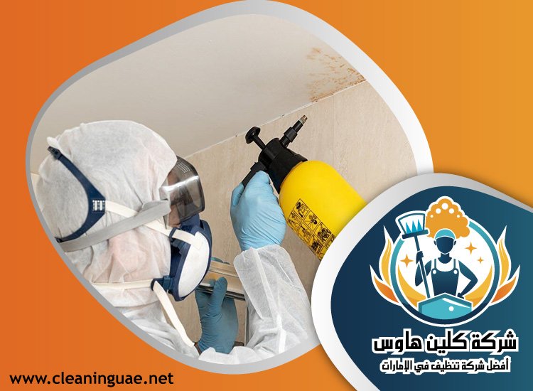 شركة مكافحة حشرات في الحيل 5 شركة مكافحة حشرات في الحيل