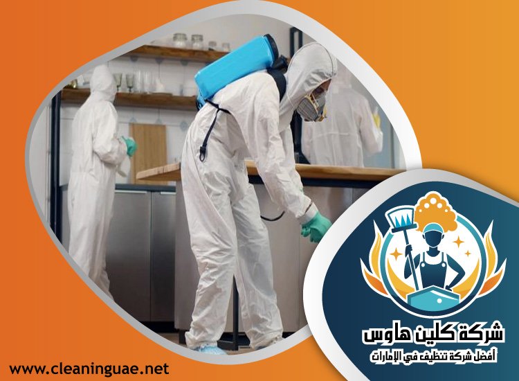 شركة مكافحة حشرات في العقة 5 شركة مكافحة حشرات في العقة
