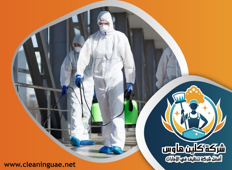 شركة مكافحة حشرات في العقة 3 شركة مكافحة حشرات في العقة