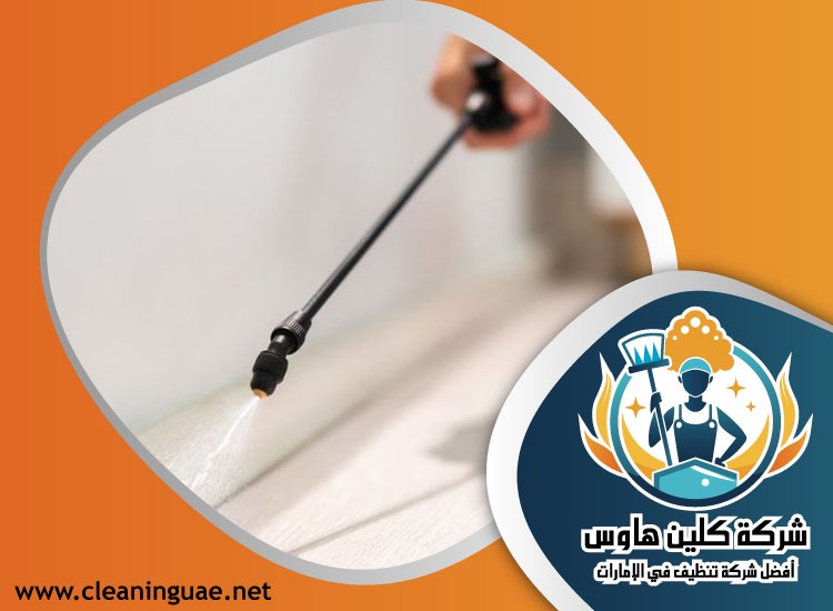 شركة مكافحة الرمة في الراشدية 4 شركة مكافحة الرمة في الراشدية