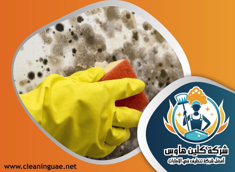 شركة تنظيف الحوائط في الفجيرة 3 شركة تنظيف الحوائط في الفجيرة