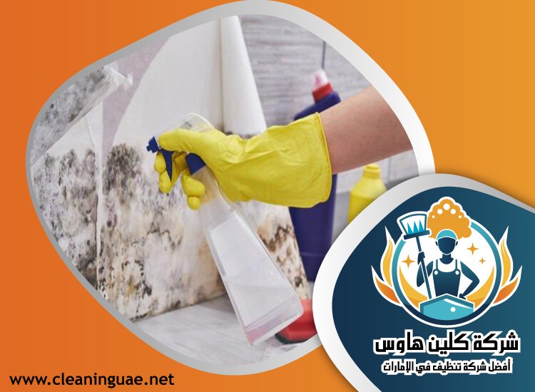 شركة تنظيف الحوائط في الفجيرة 5 شركة تنظيف الحوائط في الفجيرة